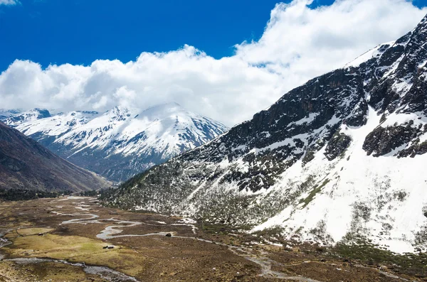 Долина Чопта на севере Индии Сикким — стоковое фото