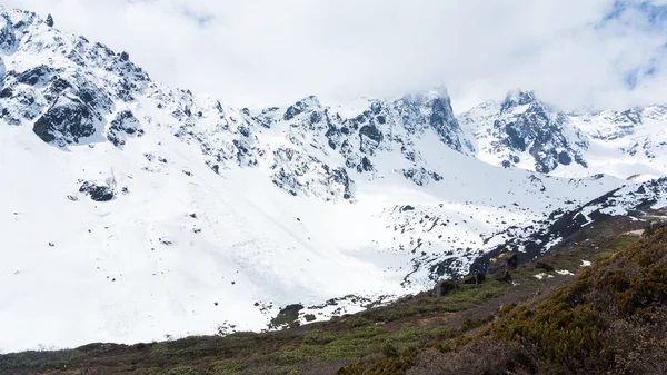 Vallée de Chopta dans le nord du Sikkim Inde — Photo