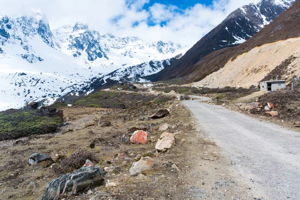 Chopta vallei in Noord sikkim, india — Stockfoto