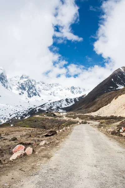 印度锡金北部的 chopta 谷 — 图库照片