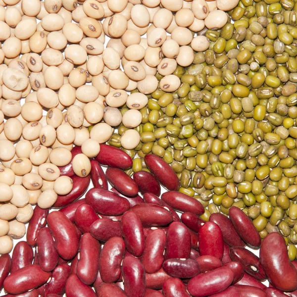 Closed up of bean pattern — Stock Photo, Image