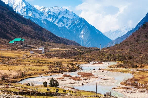 Chopta údolí v severní Indii sikkim — Stock fotografie