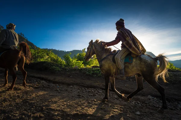 マウント penanjakan の視点で借りる観光客のための馬を持つ男 — ストック写真