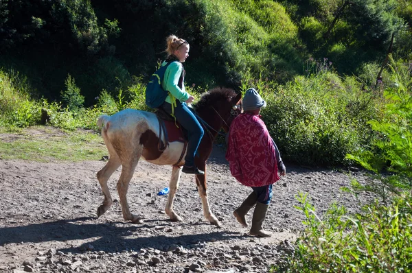 Туристы ездят на лошади, чтобы посмотреть на гору Пенанджакан — стоковое фото