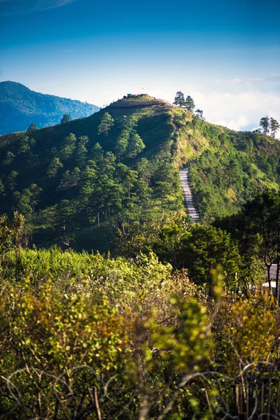 Punto di vista della natura sulla collina a Doi Ang Khang montagne . — Foto Stock