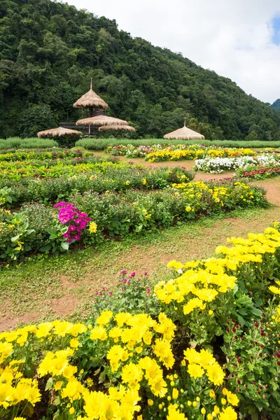 Parterres de fleurs colorés et sentier de gazon sinueux — Photo