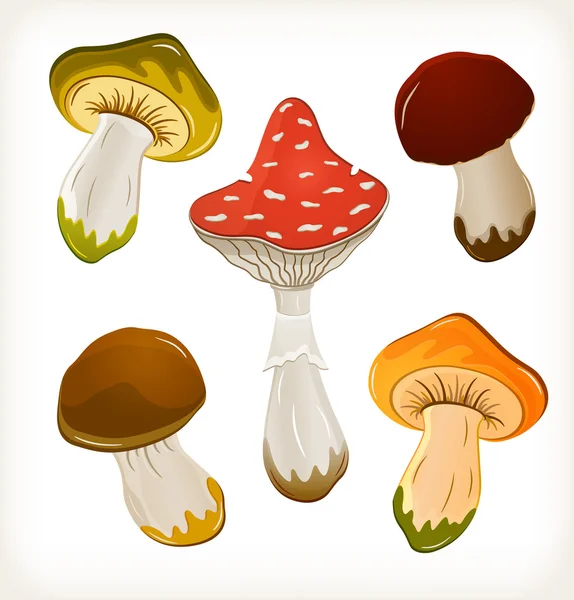 Set di funghi — Vettoriale Stock