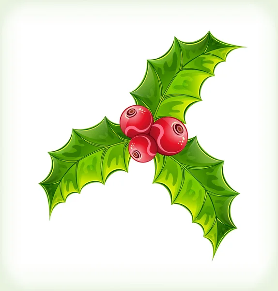 Le houx de Noël — Image vectorielle