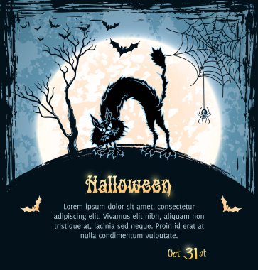 Spooky kedi, dolunay, yarasalar, örümcek ve web