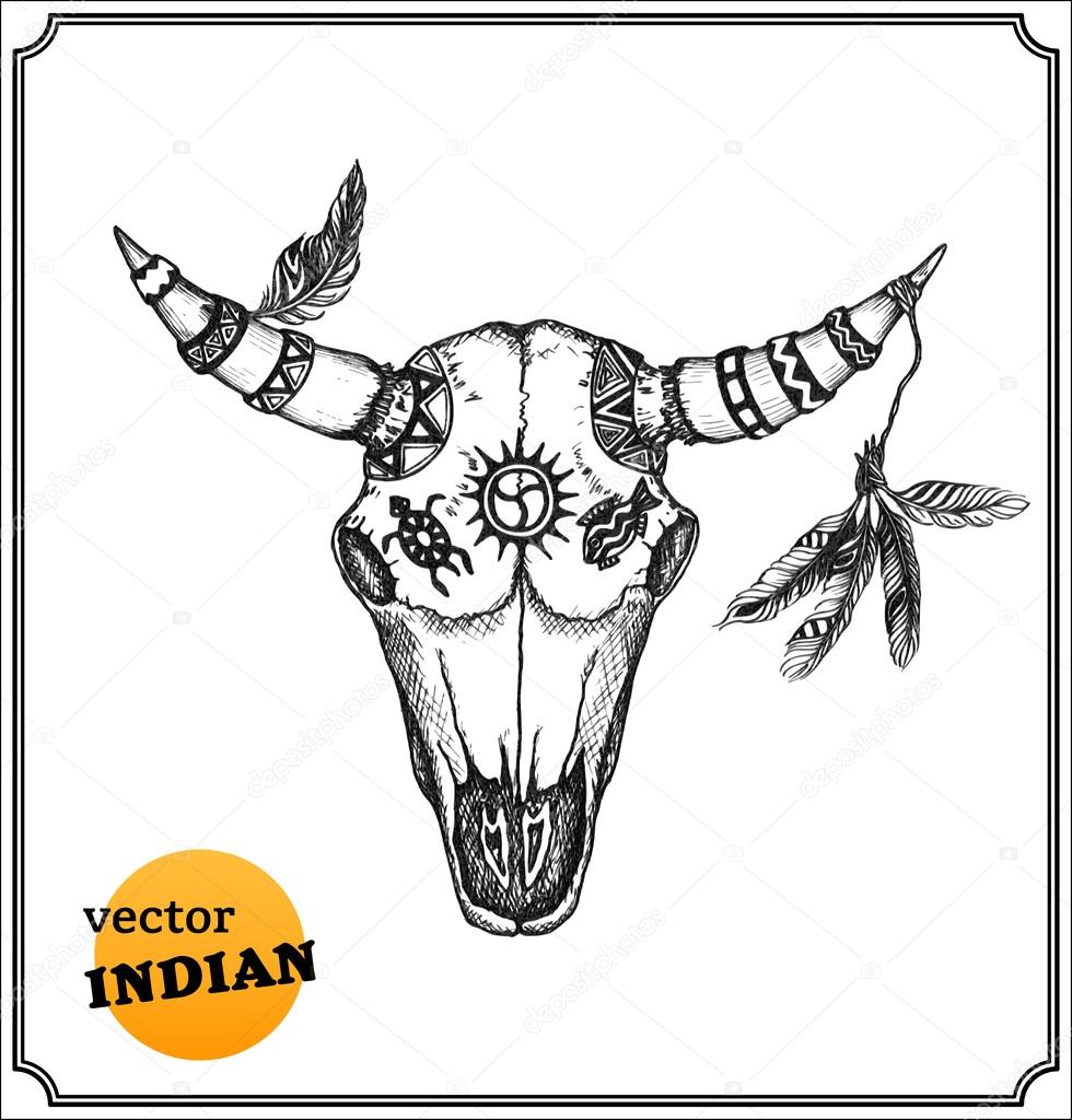 Buffalo skull with feathers for shamans witchcraft