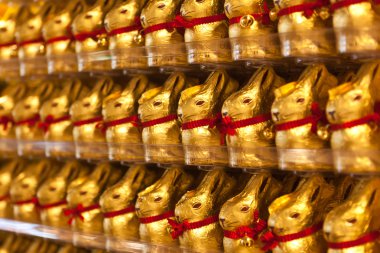 Paskalya tavşanları