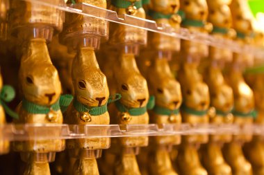 Paskalya tavşanları