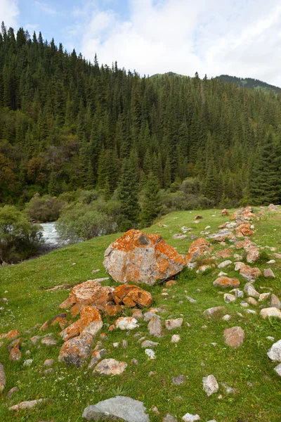 Montagna del Kirghizistan in Asia — Foto Stock