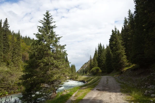 Montagna del Kirghizistan — Foto Stock