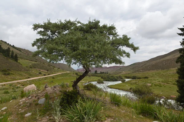 Kirguistán montaña —  Fotos de Stock