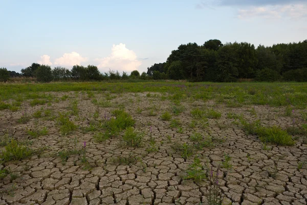 Tierra agrietada de la sequía —  Fotos de Stock