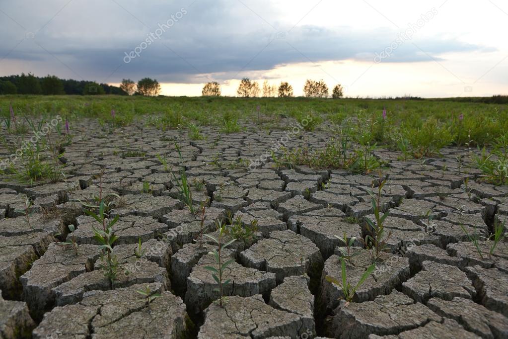 Cracked earth from drought