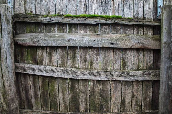 Stary Drewniany Płot Porośnięty Mchem — Zdjęcie stockowe