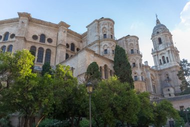 Malaga İspanya - 09: 15 2021: Malaga Katedrali veya Santa Iglesia Katedrali Basilica de la Encarnacion, ikonik ulusal bir simge, 16. yüzyıl barok cephesi, palmiye ağaçları