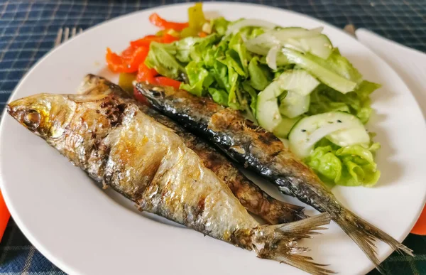 Pemandangan Makanan Berlapis Makanan Ikan Sehat Hidangan Khas Masakan Daerah — Stok Foto