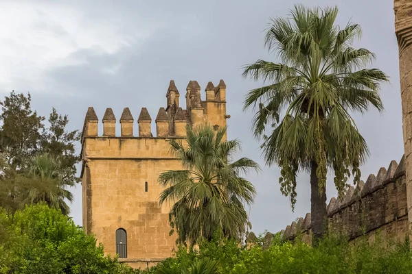 Cordoba Spagna 2021 Veduta Esterna Delle Torri Dei Lions Alczar — Foto Stock