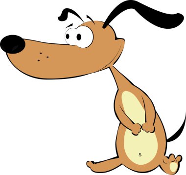 Dachshund