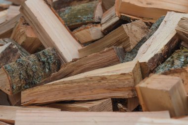 Ocakta ısıtmak için kesilmiş meşe ağacı odunu.. 