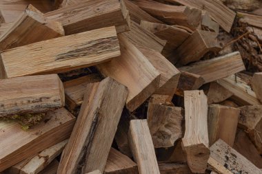 Ocakta ısıtmak için kesilmiş meşe ağacı odunu.. 