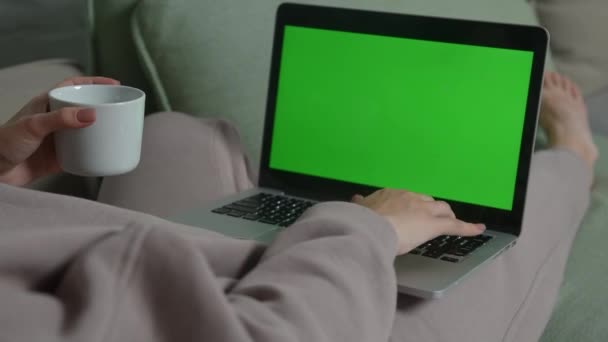 若い女の子はスタイリッシュな服にソファの上にあり 明るいインテリアの緑の画面でノートパソコンにテキストを入力します 高品質のフルHd映像 — ストック動画
