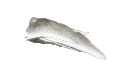 Ovalama efektli siyah ve gri leke, beyaz arka planda krem..