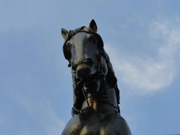 Cabeça Cavalo Estátua Bronze Jan Zizka Por Bohumil Kafka Parte — Fotografia de Stock