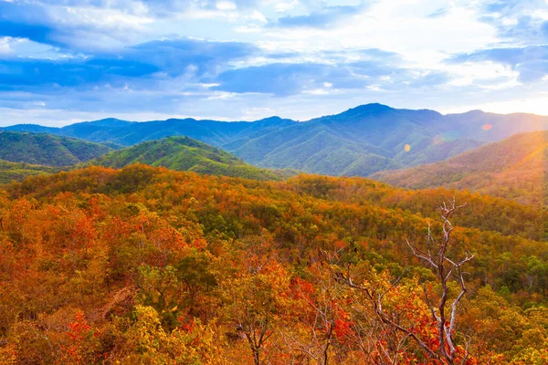 Paisaje Montañas Otoñales Atardecer Bosque Colorido Temporada Específica Vacaciones Vacaciones —  Fotos de Stock