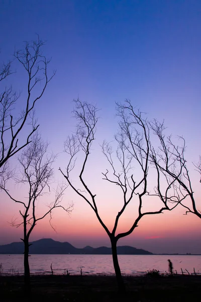 Спокійне Озеро Восени Чоловік Ходить Деревах Викладених Біля Озера Сутінках — стокове фото