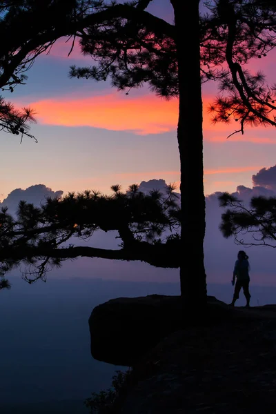 远足的年轻女子站在一座古松树旁的悬崖边 日落时望着山景 旅游概念 — 图库照片