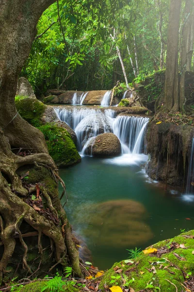 Yağmurlu bir sabahta saf tropik şelale manzarası, şelalenin yanında büyüyen büyük bir ağaç ve yemyeşil bitkiler. Kanchanaburi, Tayland.
