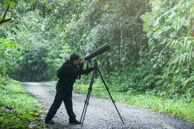 Profesyonel bir vahşi yaşam fotoğrafçısı, dijital kamera ve süper telefoto lenslerle ormanda bir tripoda fotoğraf çeker. Lense odaklan..