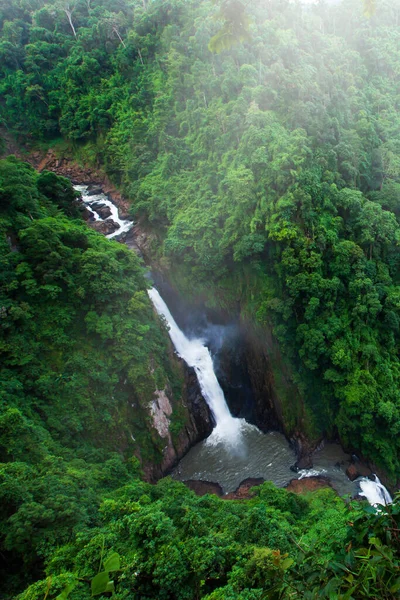 Magas Szög Kilátás Nyílik Trópusi Vízesés Körül Zöld Trópusi Erdő — Stock Fotó