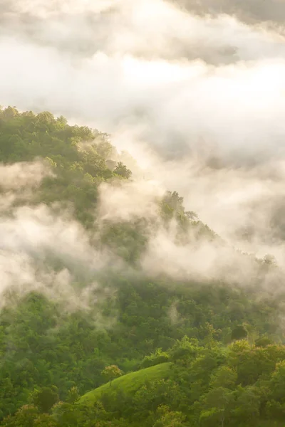 Die Landschaft Der Berge Der Regenzeit Und Sanfter Nebel Bedecken — Stockfoto
