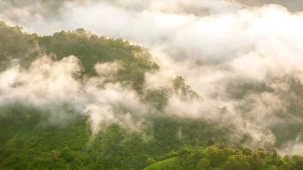 Hegyek Látványa Esős Évszakban Enyhe Köd Borítja Zöld Trópusi Esőerdők — Stock Fotó