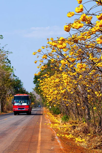 Thai Local Bus Driving Road Connects Townships Villages Kanchanaburi Thailand — Fotografia de Stock