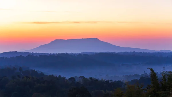 Paisaje Montañas Azules Amanecer Niebla Que Cubre Bosque Pinos Dramático —  Fotos de Stock