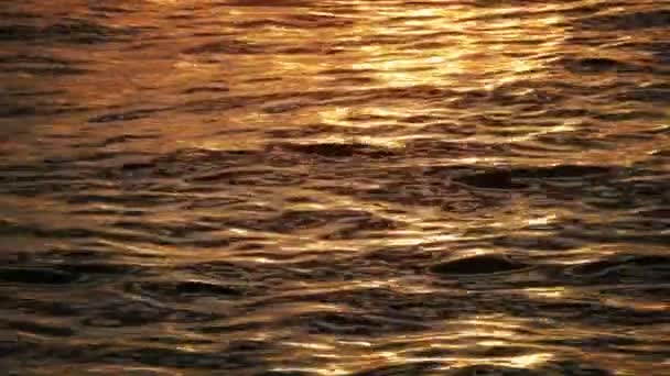 Onde oceaniche al tramonto. — Video Stock