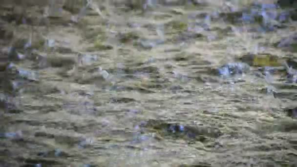 Water zuiver berg lopen, close-up. — Stockvideo