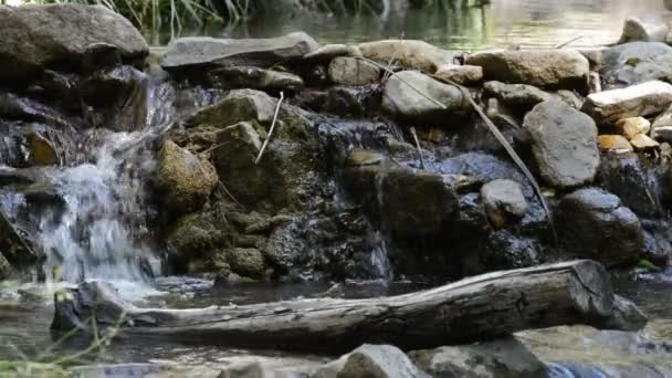 El río, de cerca . — Vídeos de Stock