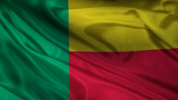 Benins flagga. — Stockvideo