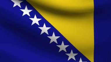 Bosna-Hersek bayrağı.