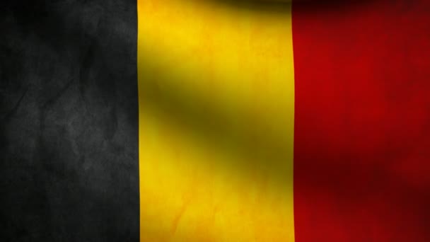 Belgische Flagge. — Stockvideo