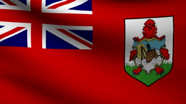 Vlag van de Bermudas. — Stockvideo