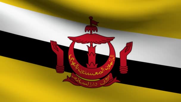 Drapeau Brunei Darussulam . — Video