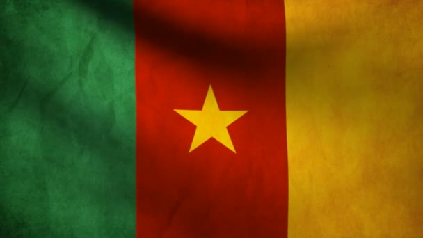 Drapeau Cameroun . — Video